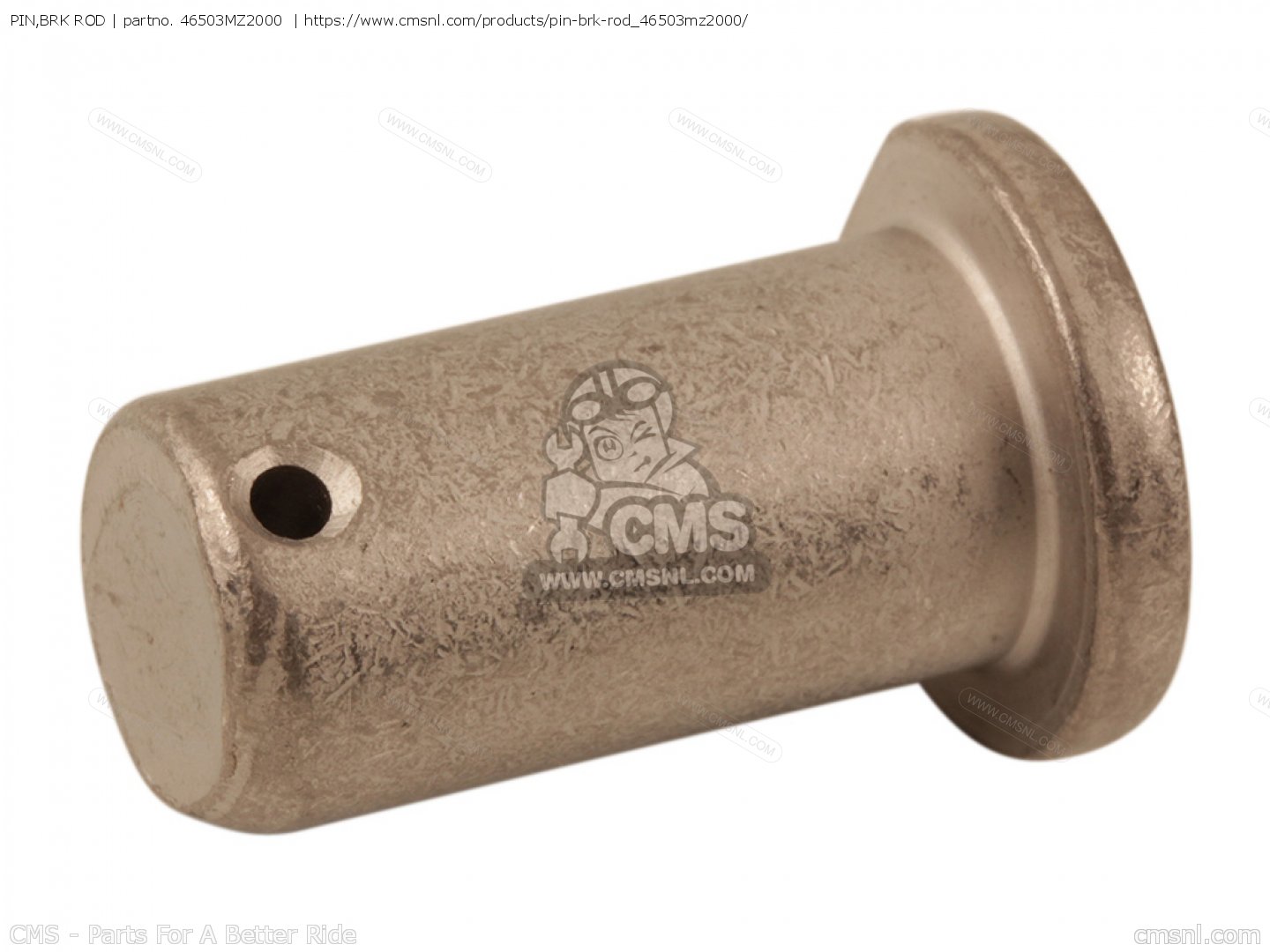46503MZ2000 Pin,brk Rod Honda buy the 46503MZ2000 at CMSNL