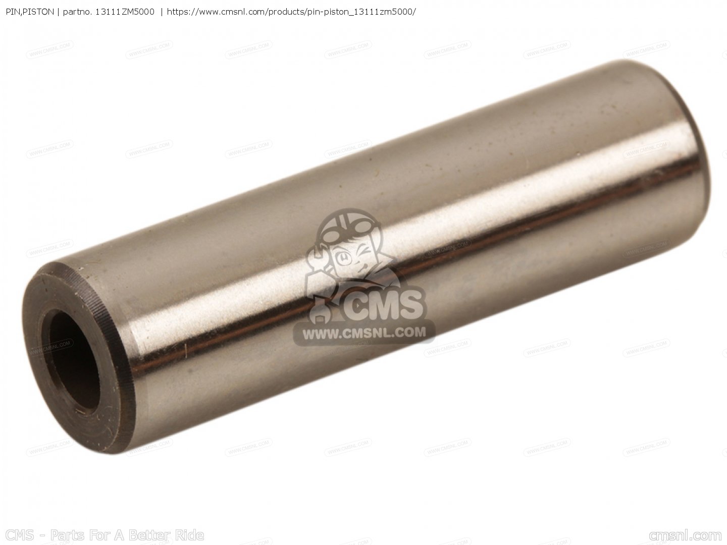 PIN,PISTON for GX35T\SDS\10Z3F601 order at CMSNL