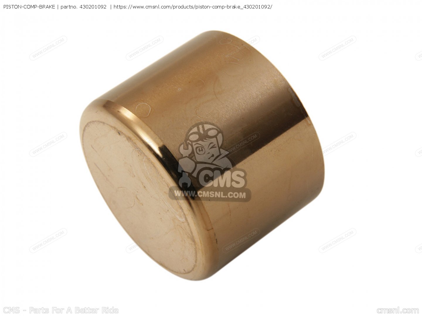 リンゴ NEW 2005 - 2006 GENUINE KAWASAKI NINJA ZX-6R BRAKE PISTON