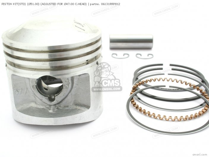 Piston Kit(std) (Ø51.00) (adjusted For Ø47.00 C.head) photo