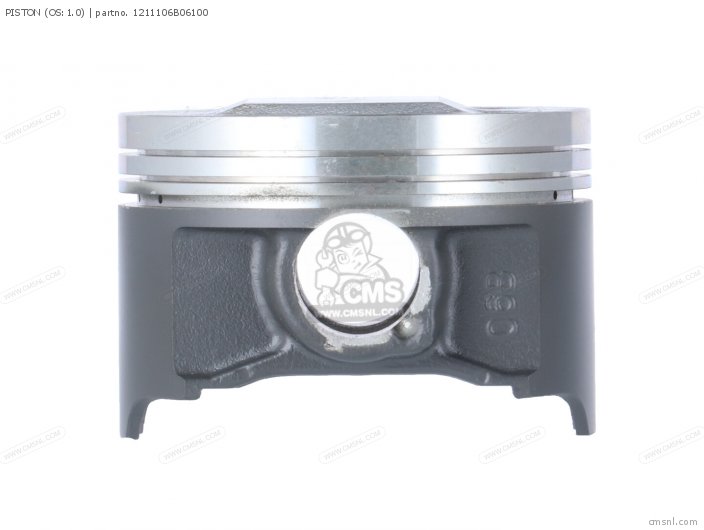 1211106B06100