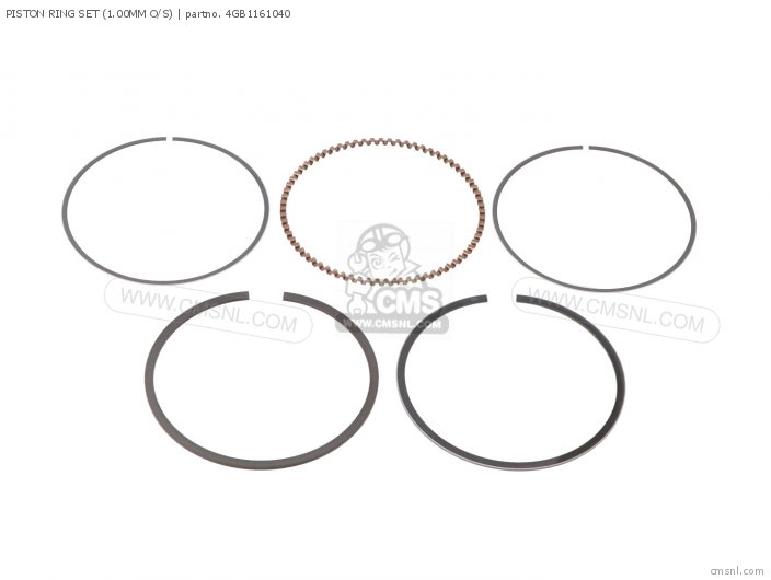 Piston Ring Set (1.00mm O/s) photo