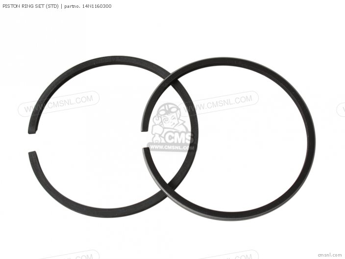 Piston Ring Set (std) photo
