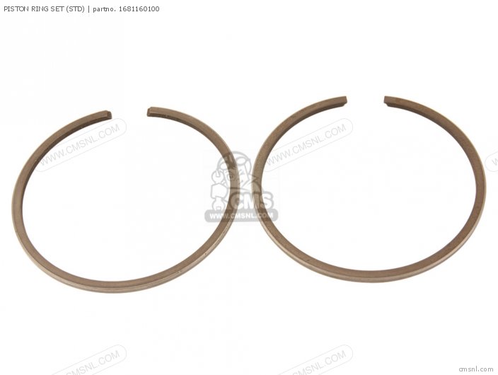 Piston Ring Set (std) photo