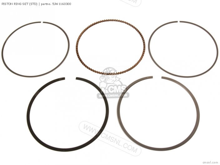 Piston Ring Set (std) photo