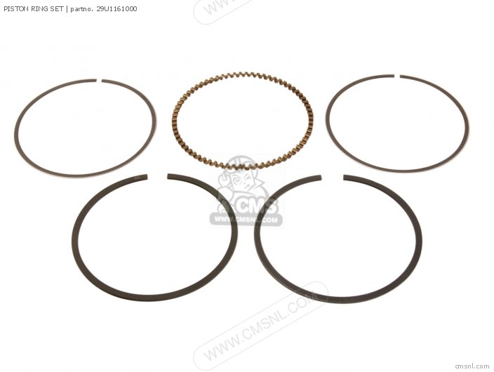 Piston Ring Set photo