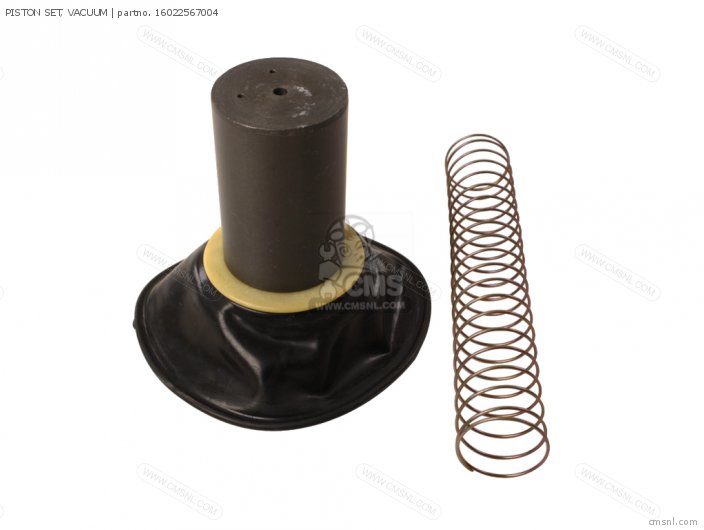 PISTON SET, VACUUM PISTON SET, VACUUM