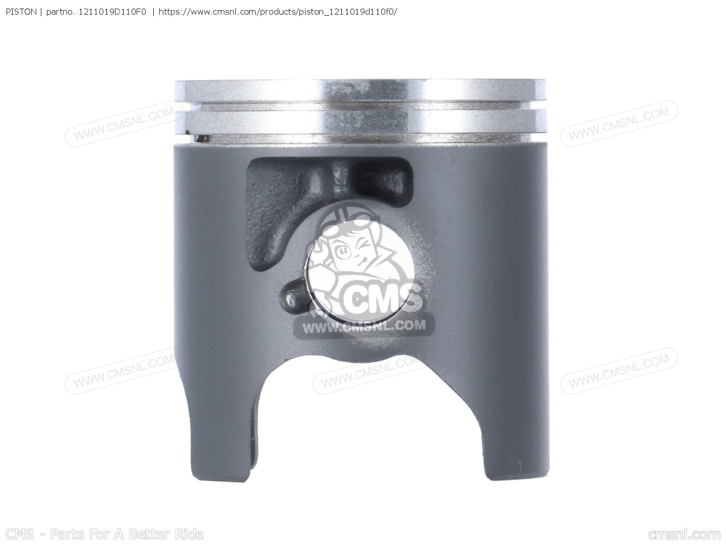 1211019D110F0