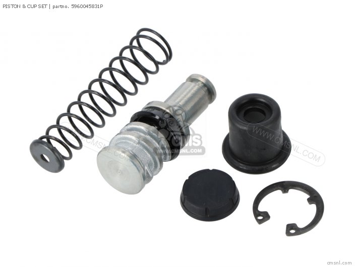 Piston & Cup Set photo