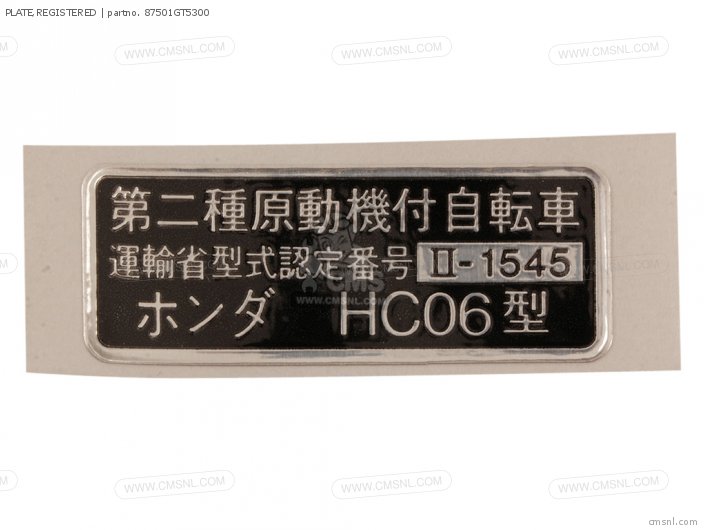 87501GT5300