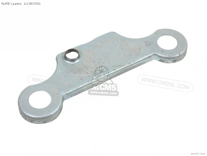 1113517C01