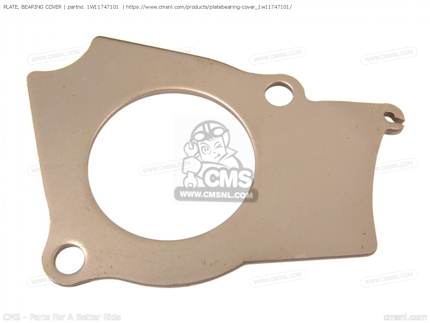 PLATE, BEARING COVER for YZ100 1979 USA order at CMSNL