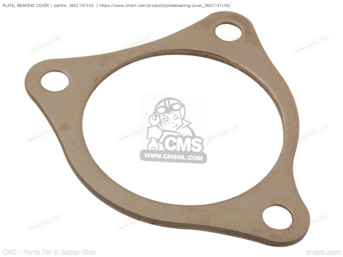 PLATE, BEARING COVER for RD250 1974 USA order at CMSNL