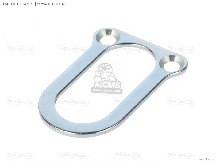 Plate, Swing Arm Rr photo