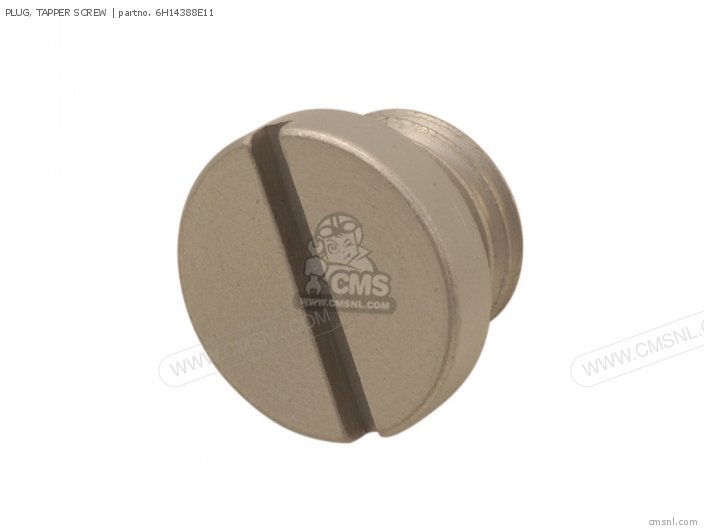 PLUG, TAPPER SCREW PLUG, TAPPER SCREW