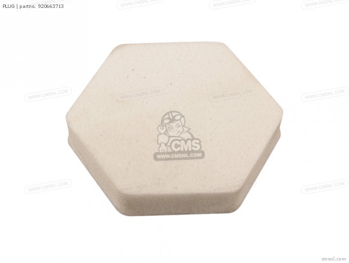 Kawasaki PLUG 920663713