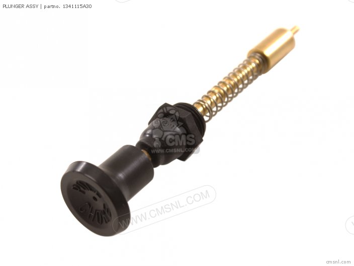 Plunger Assy photo