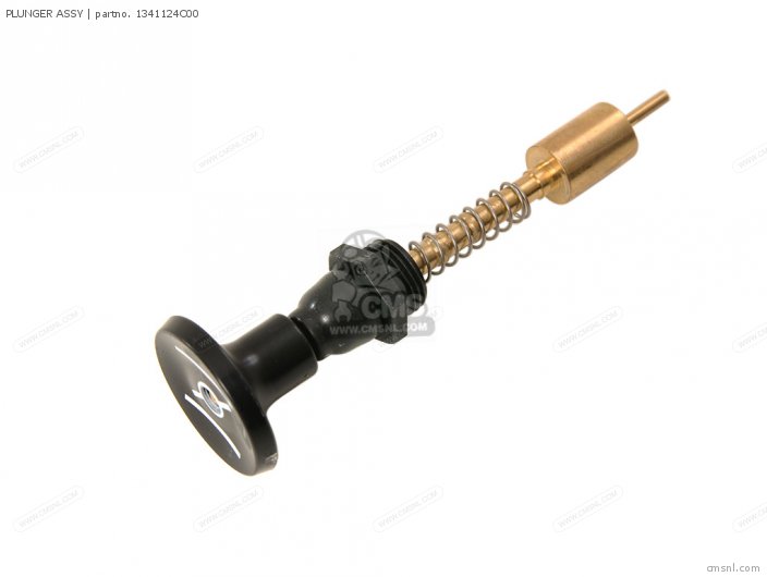 Plunger Assy photo