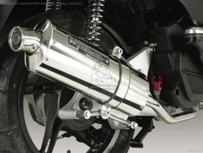 Takegawa POWER SILENT OVAL EXHAUST 04020103