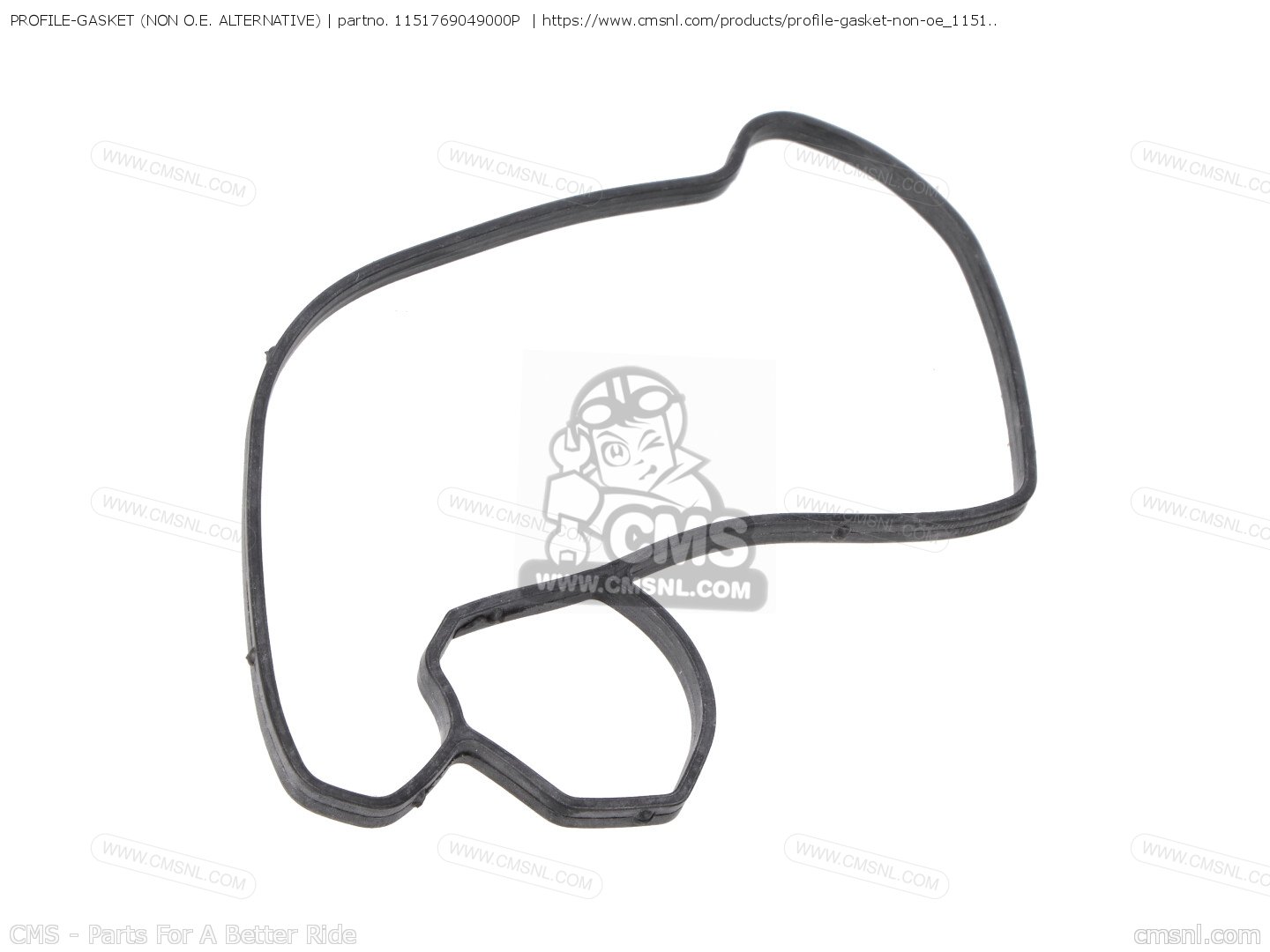 1151769049000P Profilegasket (non O.e. Alternative) Alternative Parts