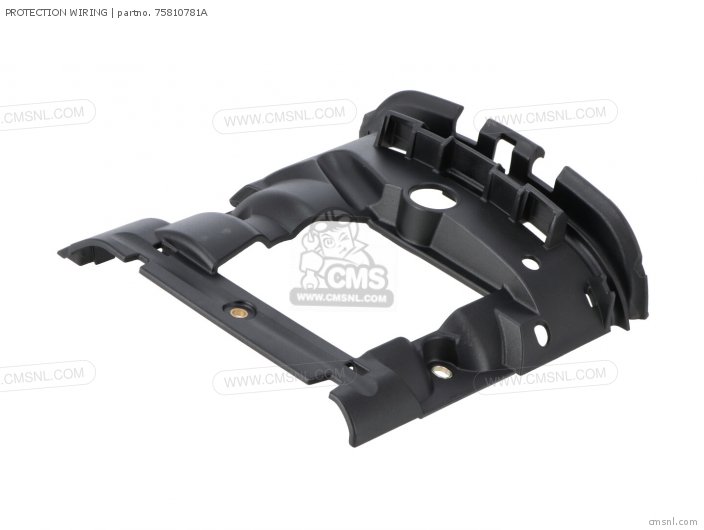 Ducati PROTECTION WIRING 75810781A