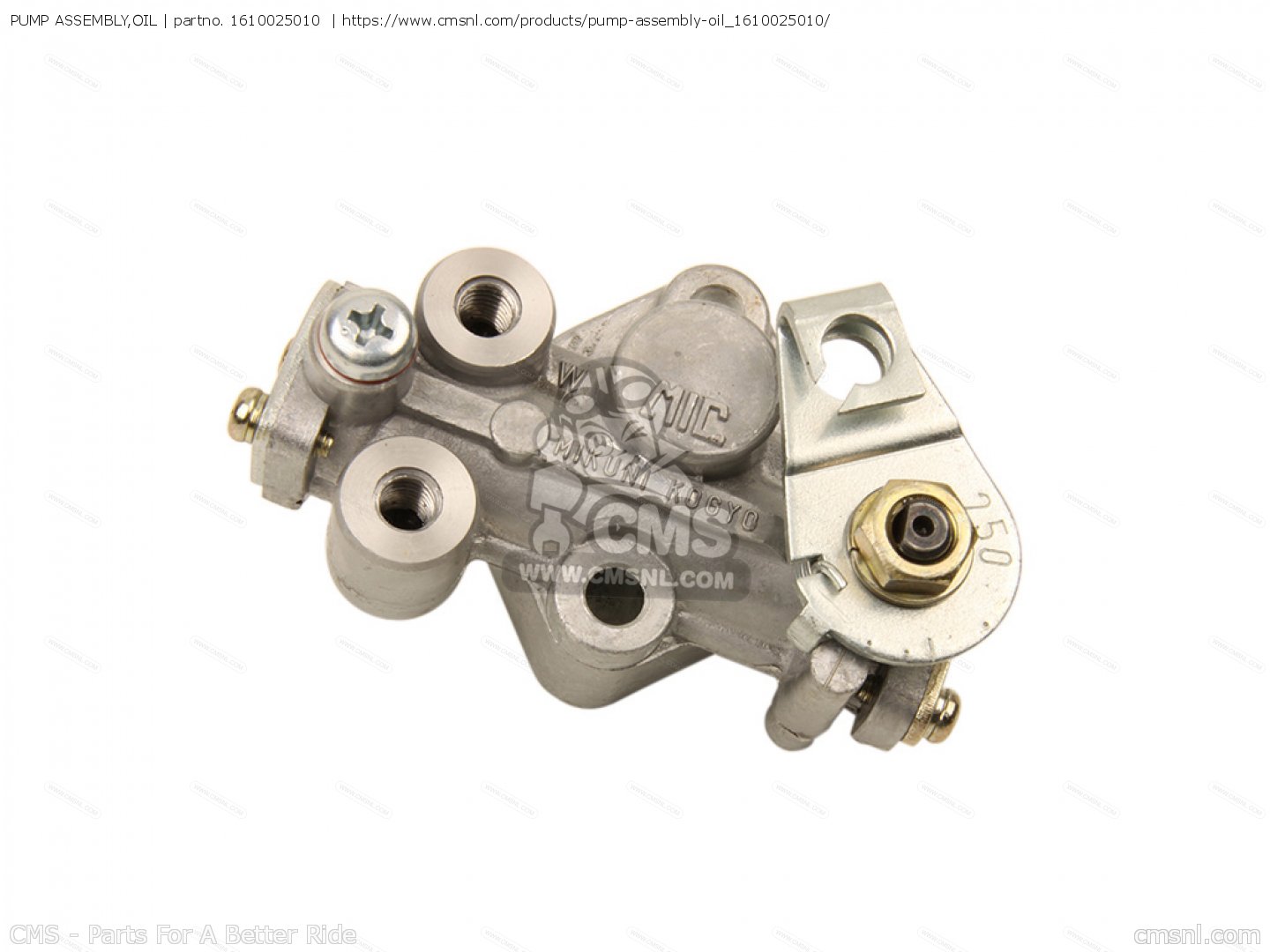 PUMP ASSEMBLY,OIL for TS100 1973 (K) USA (E03) order at CMSNL