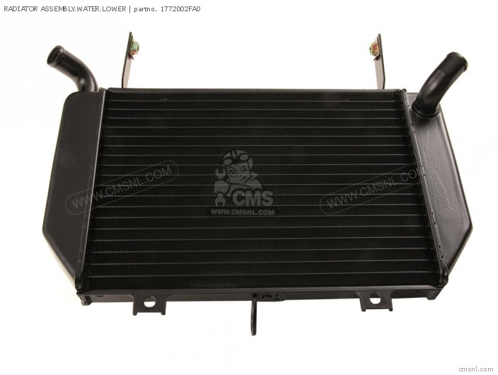 TL1000R 2000 Y RADIATOR ASSEMBLY WATER LOWER