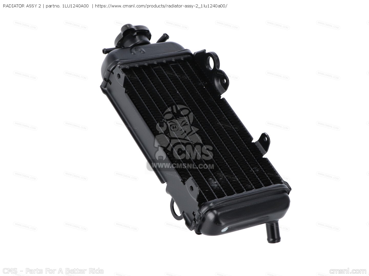 RADIATOR ASSY 2 for YZ250 COMPETITION 1987 (H) USA order at CMSNL