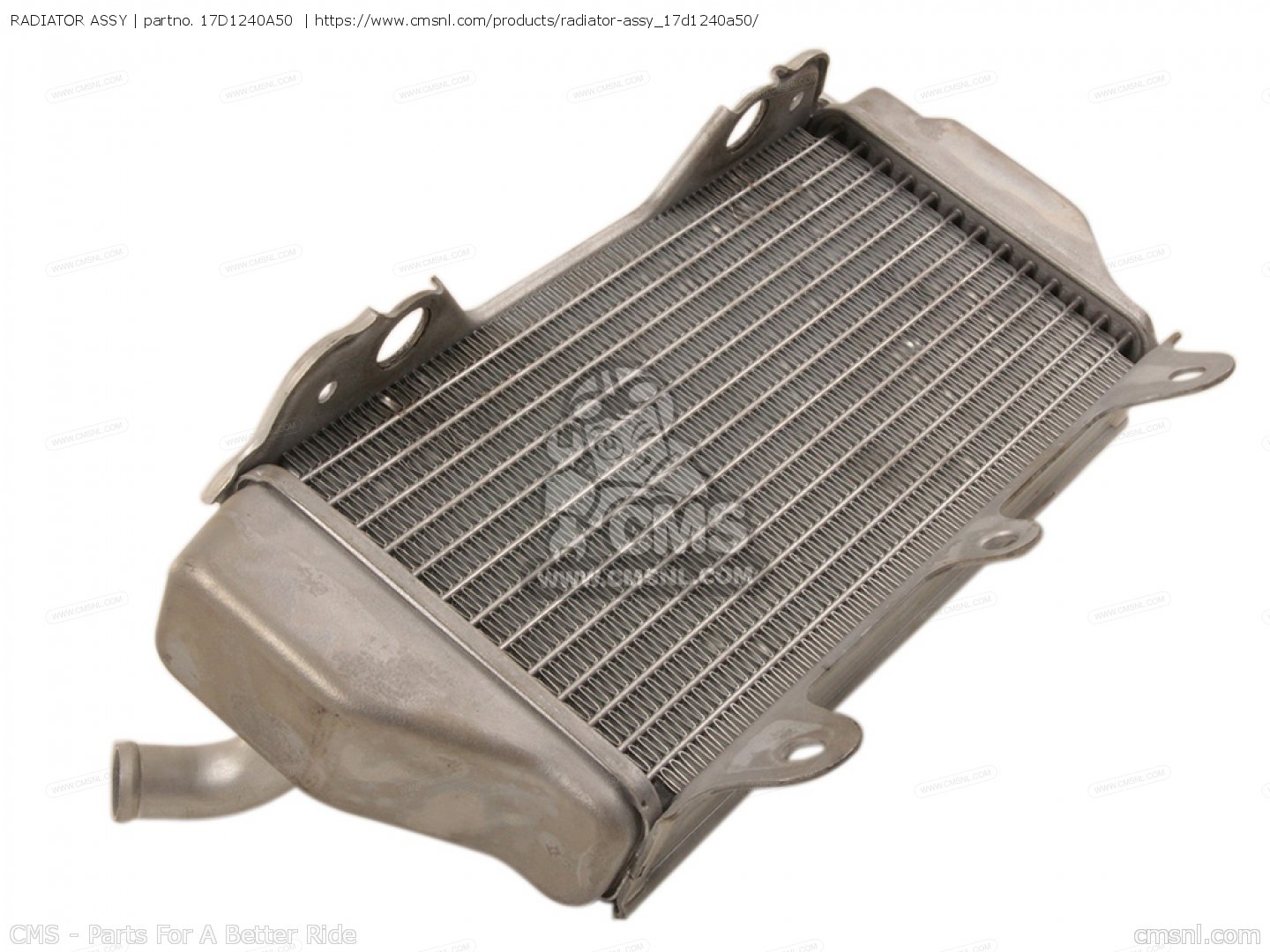 RADIATOR ASSY for YZ250F 2011 17DE EUROPE 1K17D100E1 order at CMSNL