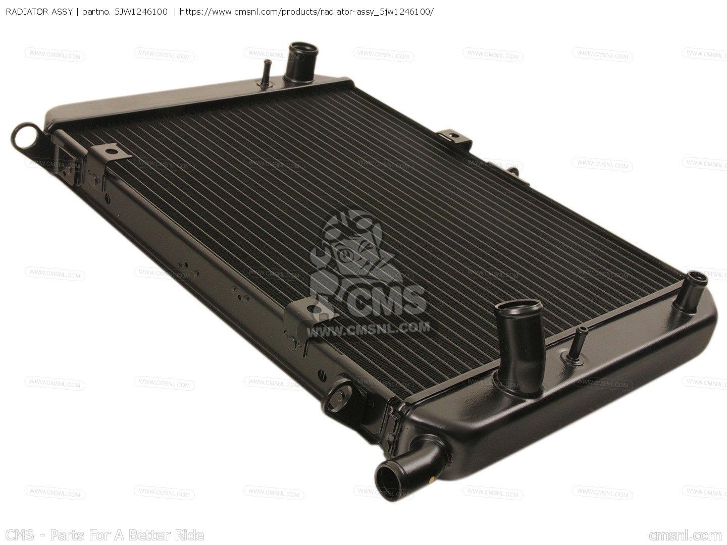 RADIATOR ASSY for FJR1300 2002 5JW4 HOLLAND 1A5JW300E2 order at CMSNL