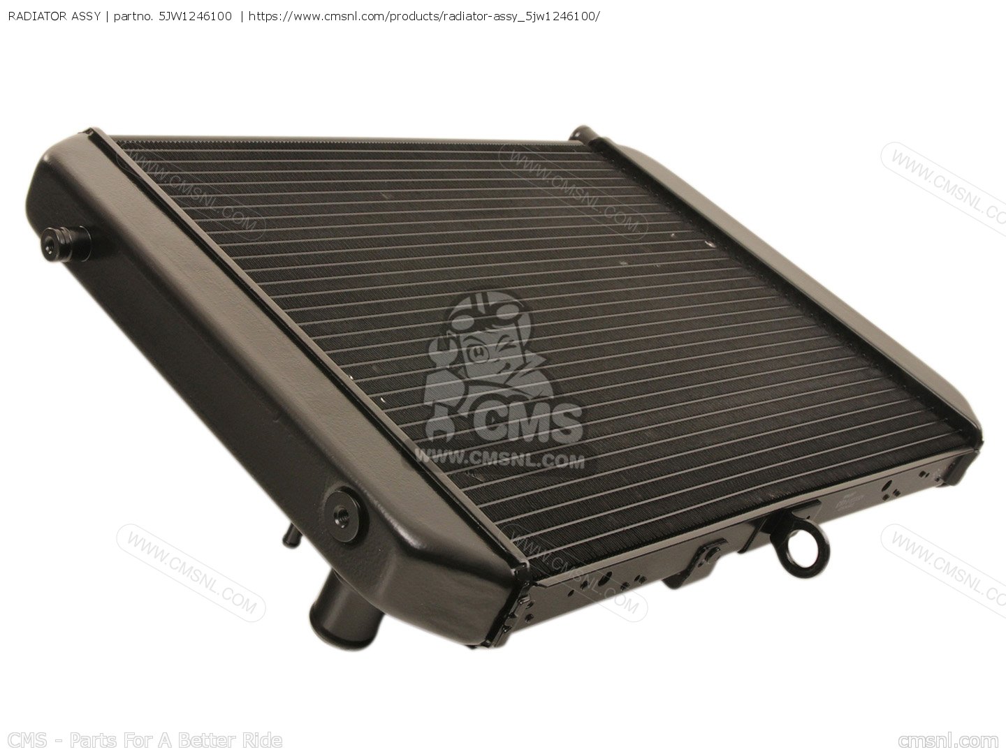 RADIATOR ASSY for FJR1300 2002 5JW4 HOLLAND 1A5JW300E2 order at CMSNL