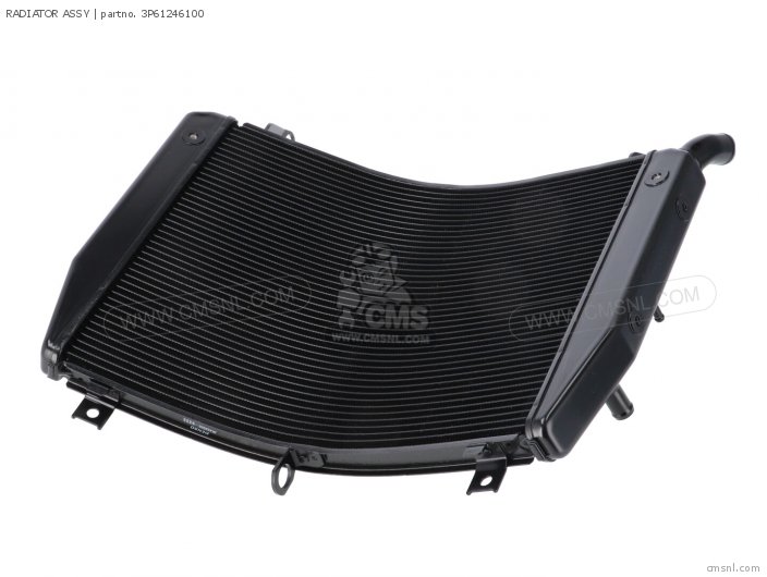Yamaha RADIATOR ASSY 3P61246100 Yamaha RADIATOR ASSY 3P61246100