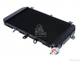 Kawasaki ラジエーター ASSY, R 39061-0821 カワサキ ZX-10R ZX10R 04-05 社外品 ラジエーター 39061-0041