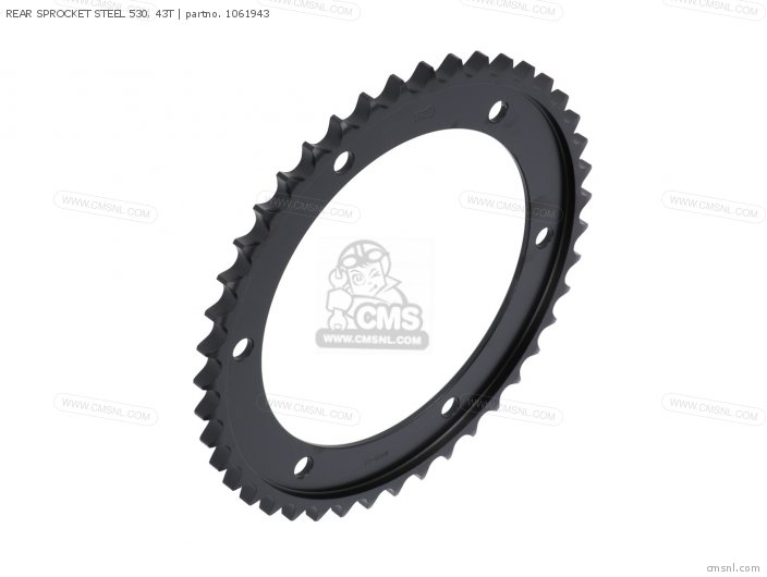 Rear Sprocket Steel 530, 43t photo