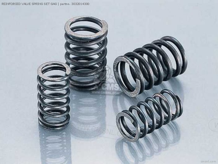 Kitaco REINFORCED VALVE SPRING SET GAG 3032014300