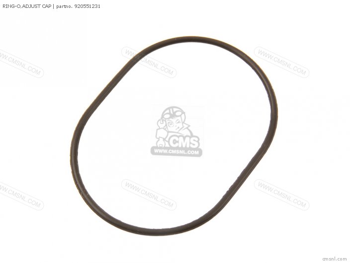 Kawasaki RING-O,ADJUST CAP 920551231