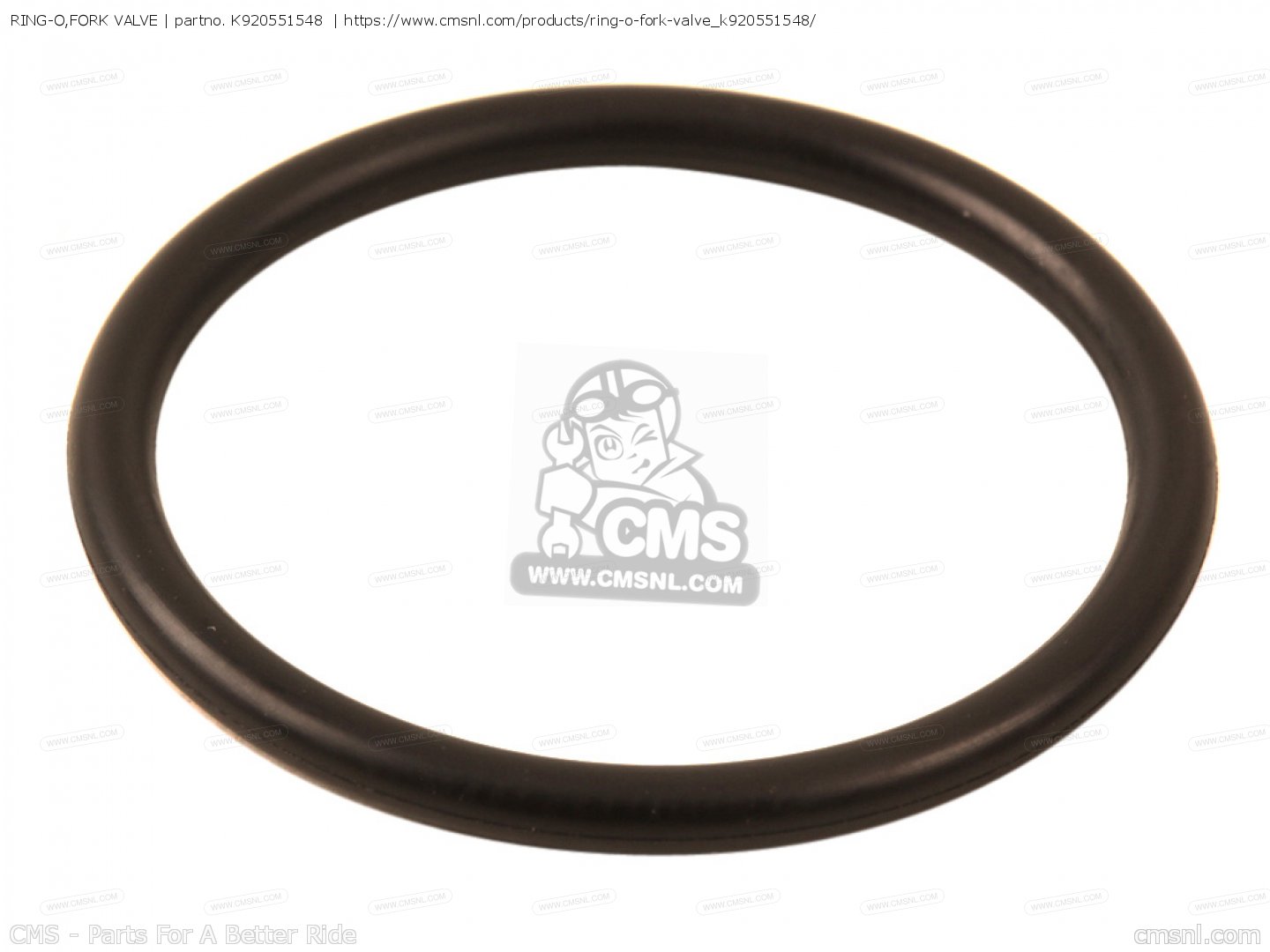 K920551548