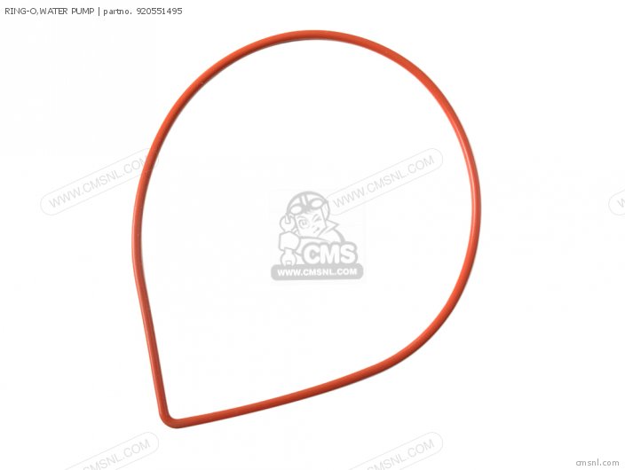 Kawasaki RING-O,WATER PUMP 920551495