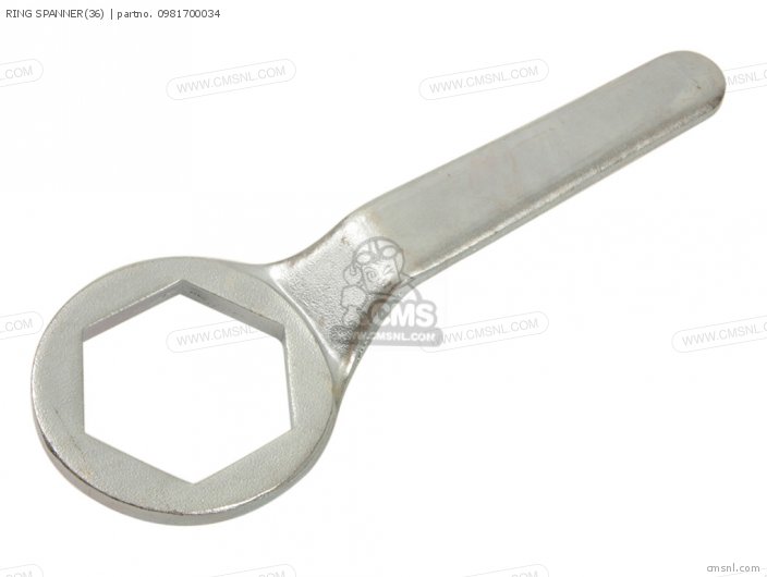 Ring Spanner(36) photo