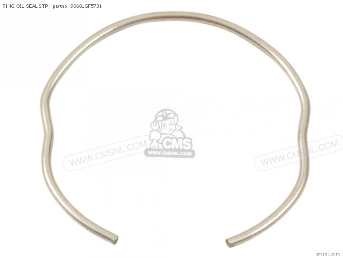 Ring, Oil Seal Stp photo