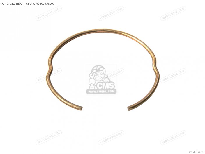 Ring, Oil Seal photo