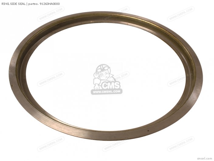Ring, Side Seal photo