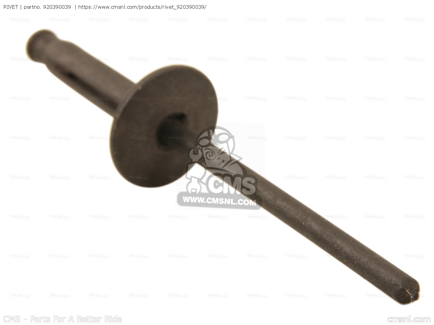RIVET for Kawasaki - order at CMSNL