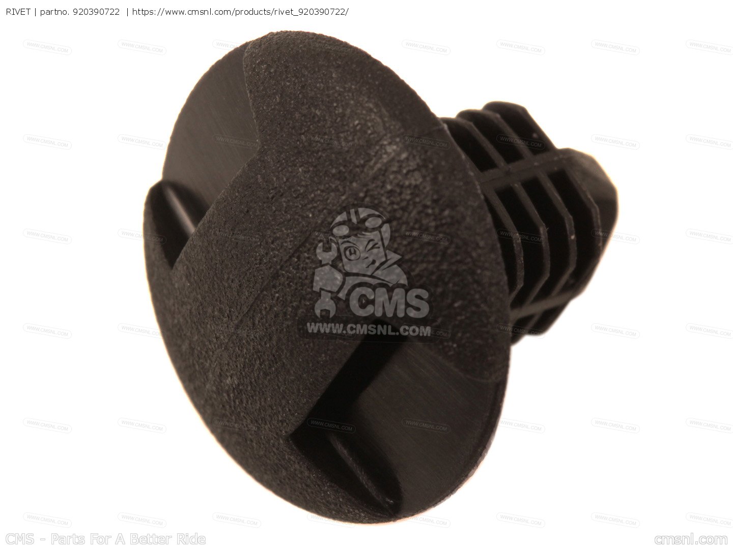 rivet_big920390722-01_d8a3.jpg