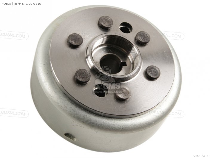 Kawasaki ROTOR 210071316