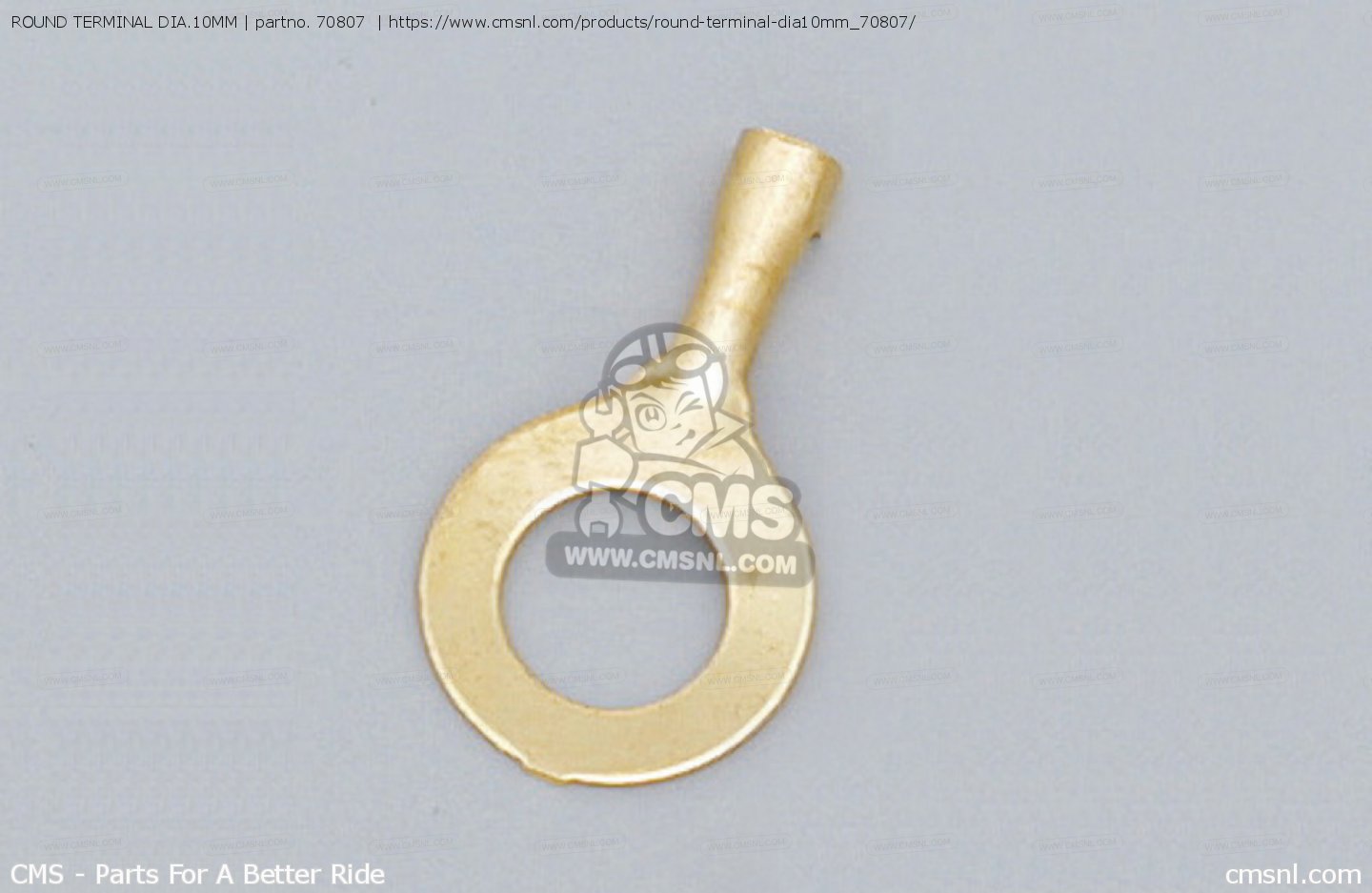 70807 Round Terminal Dia.10mm Daytona buy the 70807 at CMSNL