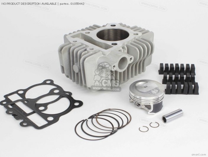 01055442 Sstage Big Bore Kit 138cc (without Cam) Takegawa buy the