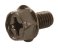 small image of SCREW 33N