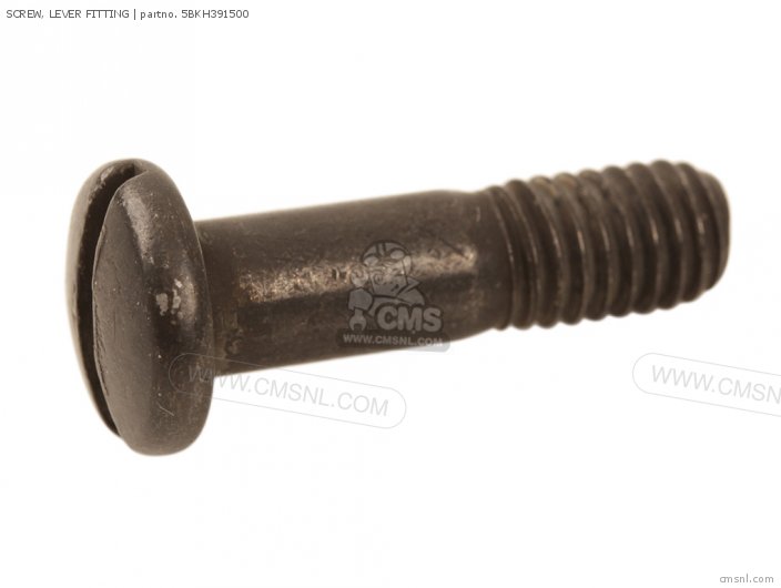SCREW, LEVER FITTING SCREW, LEVER FITTING