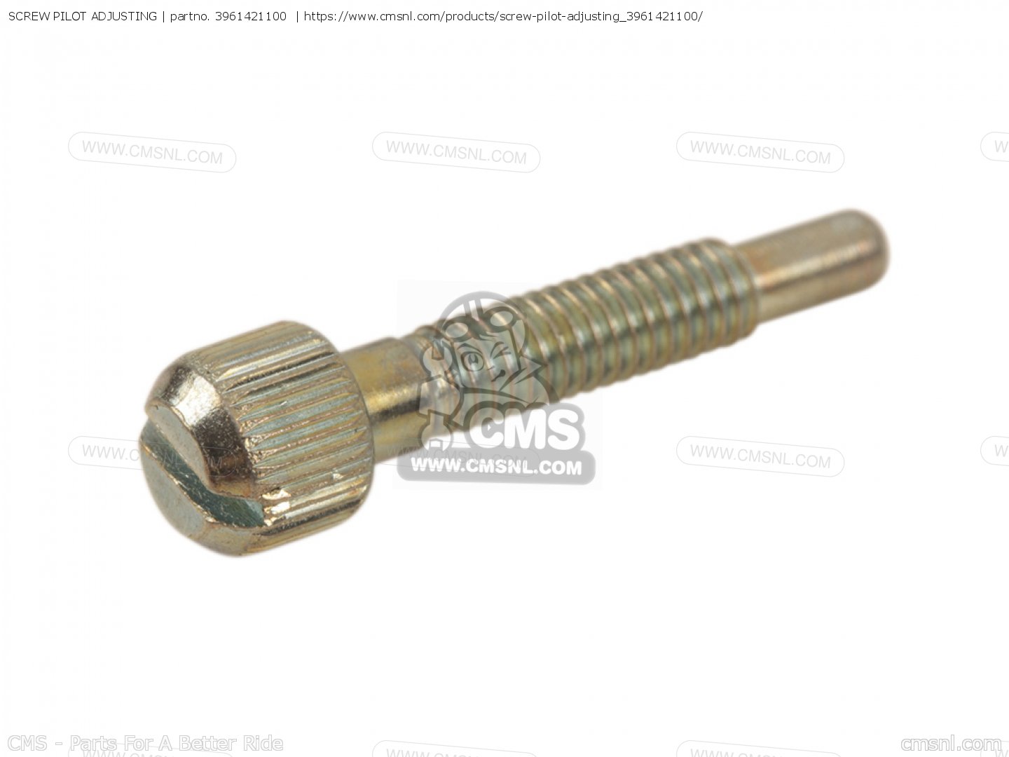 SCREW PILOT ADJUSTING for RD200 1976 USA order at CMSNL